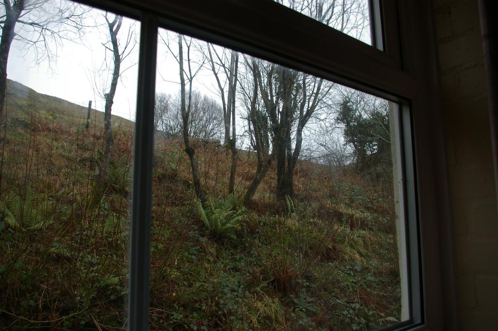 Yha Snowdon Ranger Vandrehjem Llanberis Værelse billede